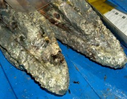 welding5